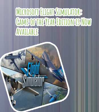 Flight simulator game play